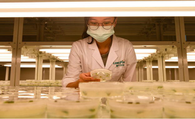 85b63655645eec008803ca91187721d1