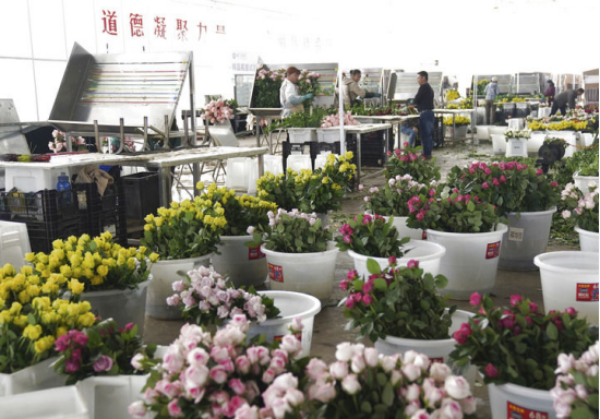 080bacb1838d2e4d9b22285c57bca5cd